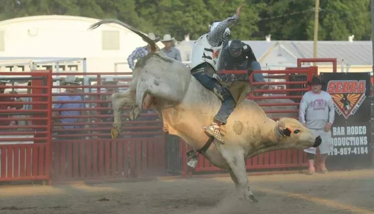 A-BAR Bullride